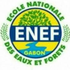 enef